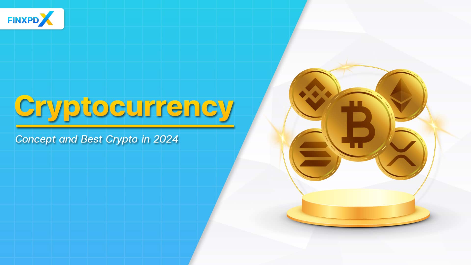 Cryptocurrency showing chart for 2024, showing performance of various digital currencies.