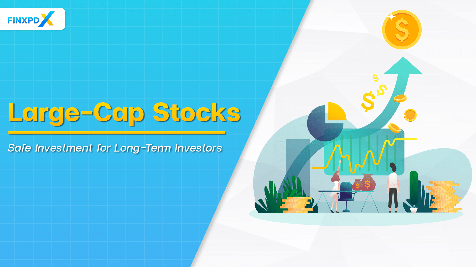 Large-Cap Stocks Safe Investment for Long-Term Investors