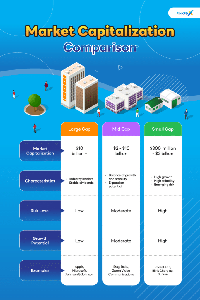 A visual representation of market capitalizations, emphasizing large-cap firms and their comparative values in the market.