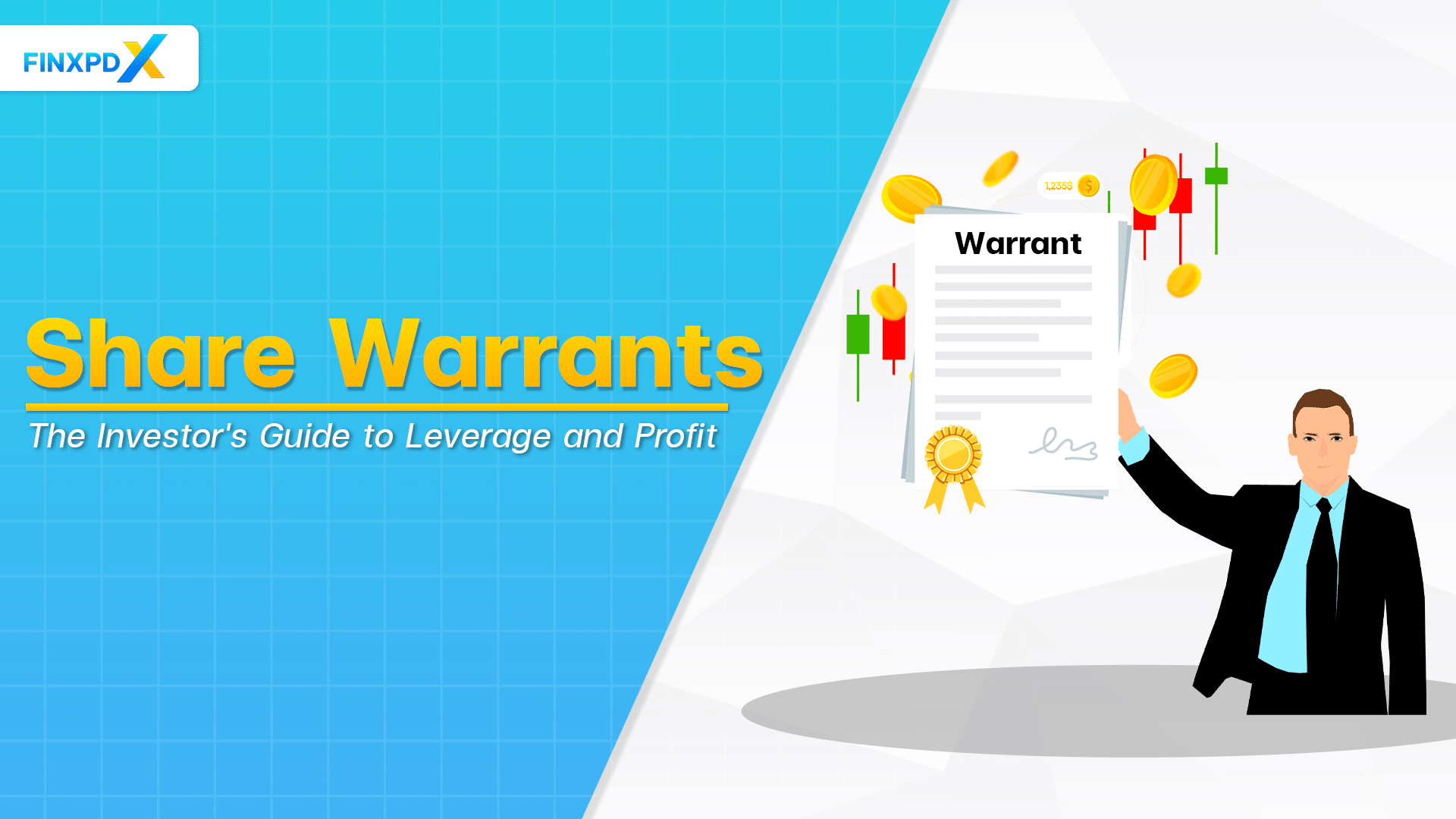 Share Warrants: The Investor's Guide to Leverage and Profit