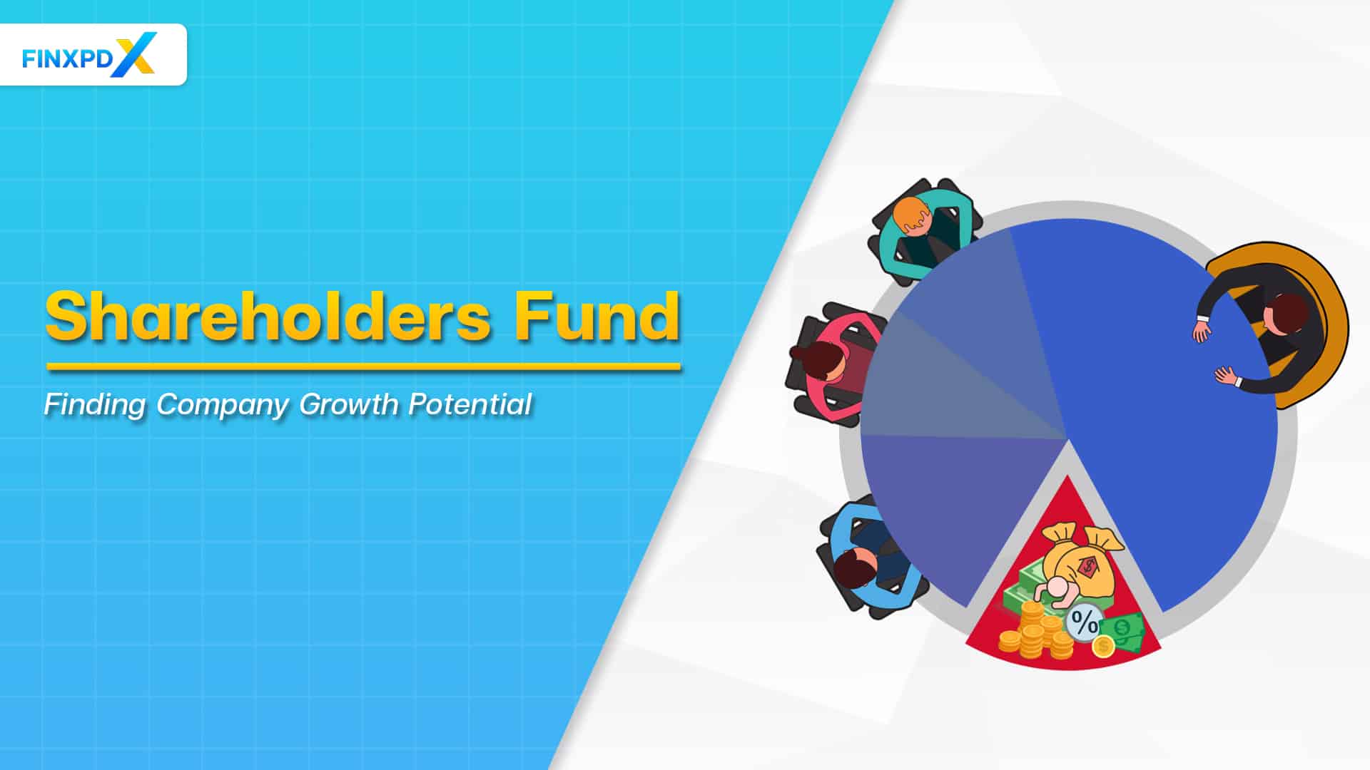 Shareholder's fund