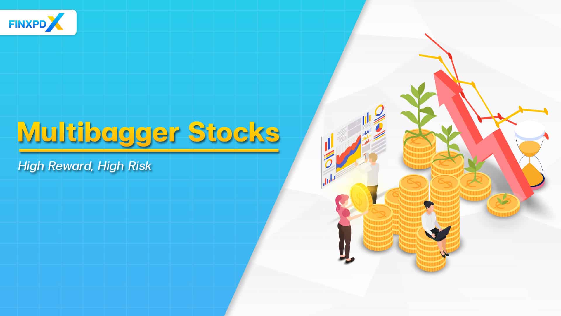 Multibagger-Stocks